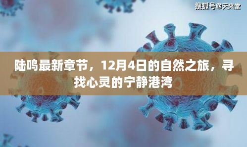 陆鸣最新章节，心灵宁静港湾的自然之旅（12月4日更新）