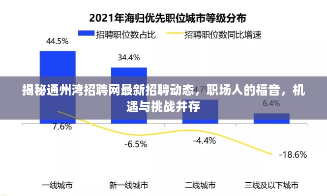 揭秘通州湾招聘网最新招聘动态，职场人的福音，机遇与挑战并存