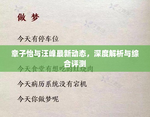 章子怡与汪峰最新动态深度剖析与综合评述