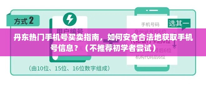 丹东手机号买卖指南，安全合法获取手机号信息的注意事项（初学者请勿尝试）