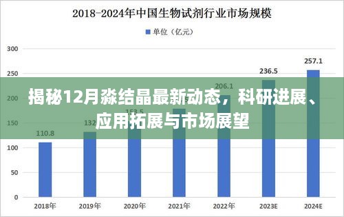揭秘，淼结晶最新动态——科研进展、应用拓展与12月市场展望