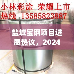 盐城宝钢项目进展热议，最新动态下的观点碰撞与个人立场分析（2024年12月4日）