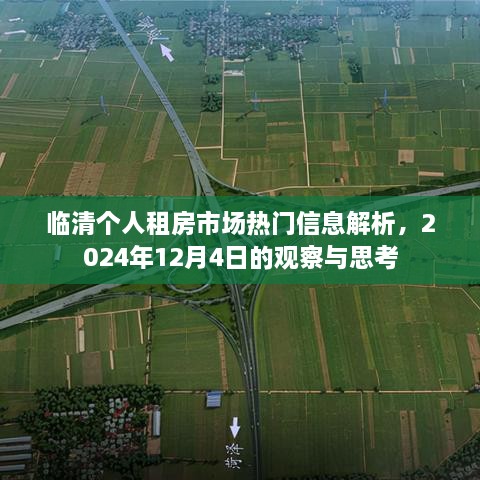 临清个人租房市场热门信息解析，2024年12月4日的观察与思考