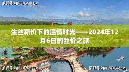 丝价之旅，温情时光下的生丝新价探索之旅（2024年12月6日）