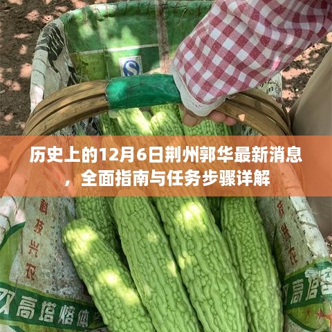 历史上的荆州郭华最新动态，全面指南与任务步骤详解（12月6日最新）