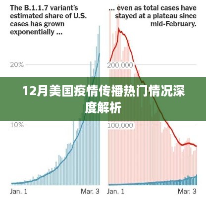 美国疫情传播趋势深度解析，十二月最新数据报告