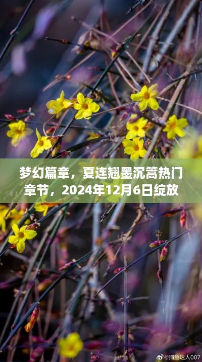 梦幻篇章，夏连翘墨沉篙热门章节，绽放于2024年12月6日的光彩