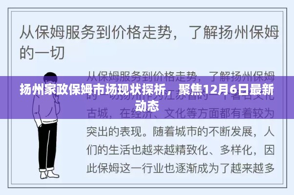 扬州家政保姆市场最新动态探析，聚焦现状与发展趋势（12月6日更新）