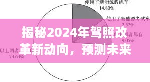 揭秘驾照改革新动向，2024年趋势预测与影响分析