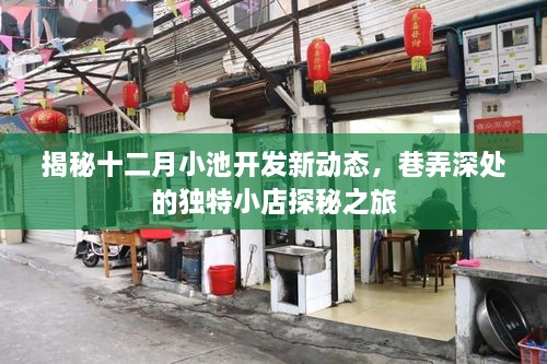 揭秘十二月小池开发新动态，巷弄深处的独特小店探秘之旅