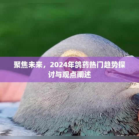 聚焦未来，2024年鸽药热门趋势深度探讨与观点阐述