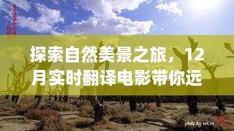 探索自然美景之旅，12月电影带你远离尘嚣，探寻内心的宁静与力量