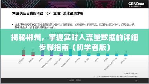 初学者版，揭秘郴州实时人流量数据的获取步骤指南