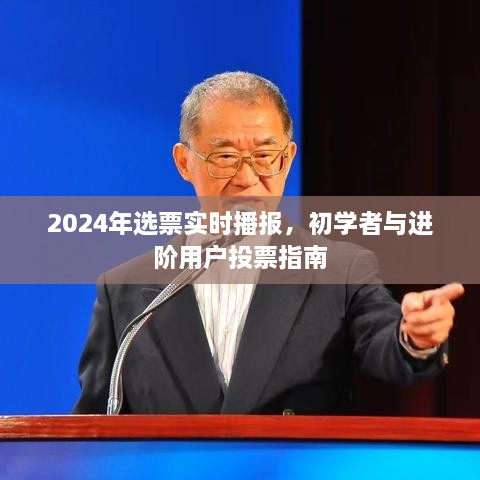 2024年选举实时播报，初学者与进阶用户投票指南全解析