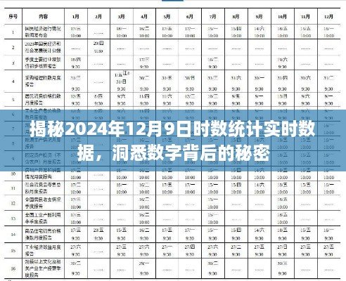 揭秘，实时数据背后的秘密——2024年12月9日时数统计深度解析