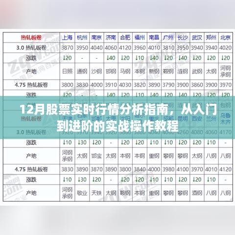 12月股票实时行情分析指南，从入门到进阶的实战操作教程