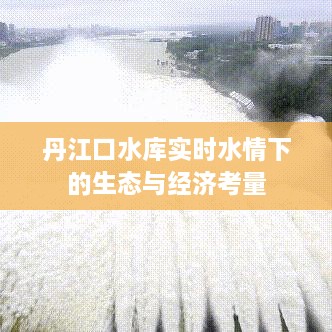 丹江口水库实时水情下的生态与经济考量