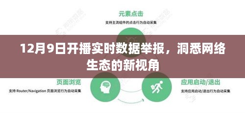 12月9日开播实时数据举报，网络生态新视角的洞悉