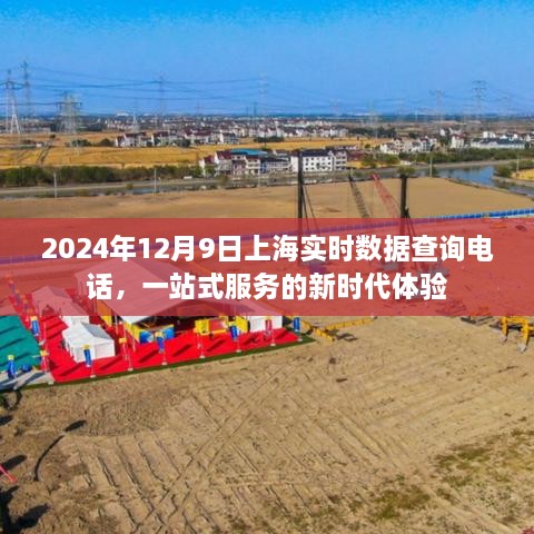 2024年12月9日上海实时数据查询电话，一站式服务的新时代体验