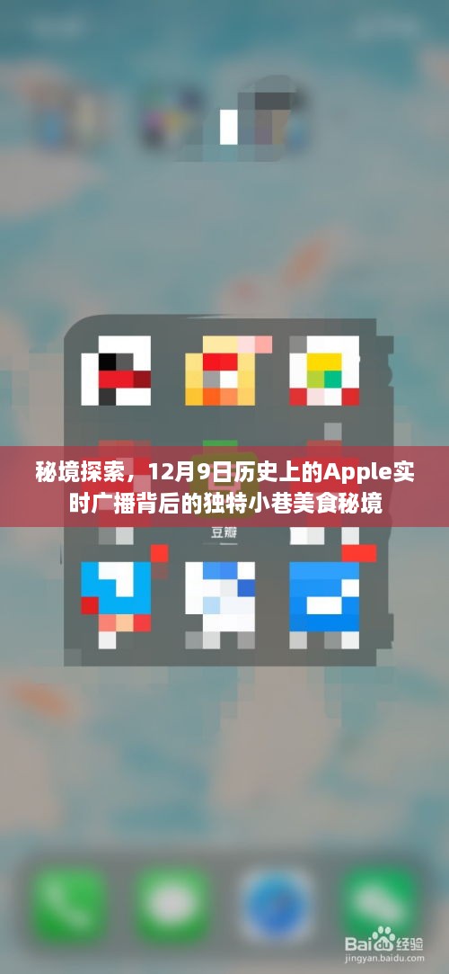 秘境探索，揭秘Apple实时广播背后的独特小巷美食秘境之旅（12月9日）