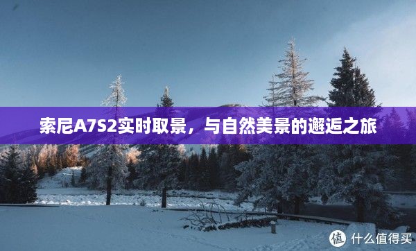 索尼A7S2实时取景，与自然美景的邂逅之旅