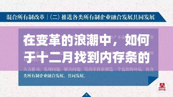 变革浪潮中的十二月挑战，内存条的自信与成就感之源