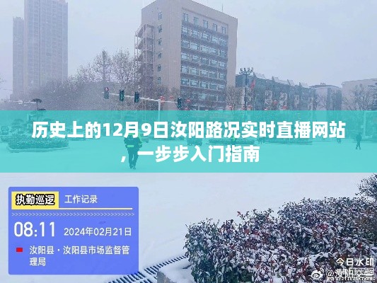 历史上的汝阳路况实时直播网站入门指南，一步步引领你走向直播世界