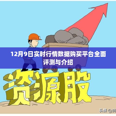 2024年12月10日 第25页