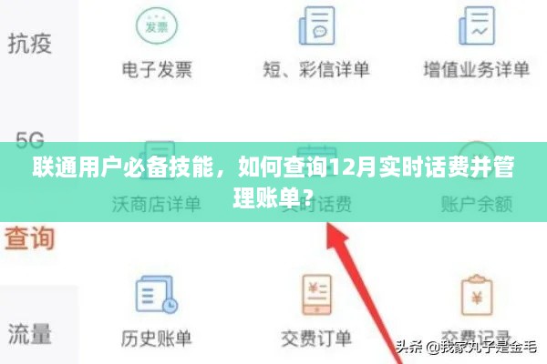 联通用户指南，查询实时话费与账单管理技巧，掌握必备技能助力12月账单无忧！