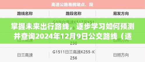 如何预测并查询2024年12月9日公交路线，初学者与进阶用户指南