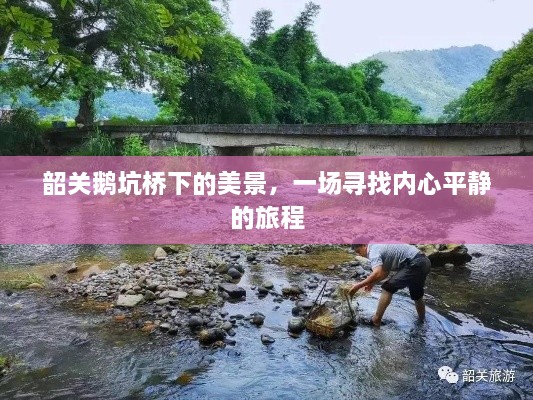 韶关鹅坑桥下的心灵之旅，寻觅静谧之美