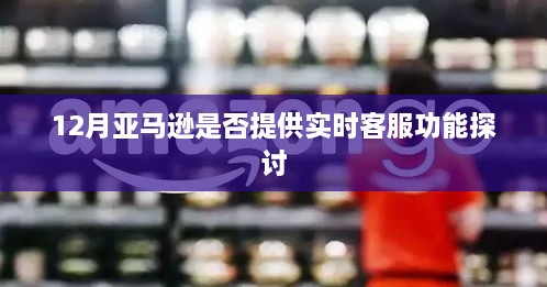 12月亚马逊实时客服功能深度探讨