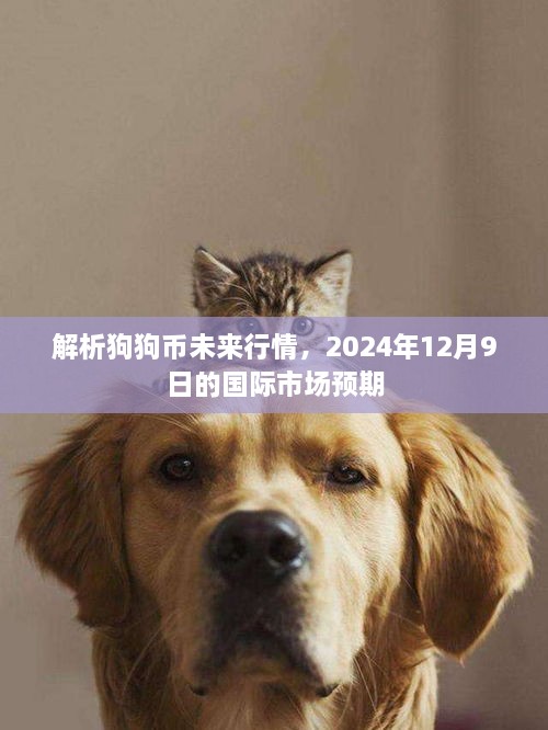 狗狗币未来行情解析，2024年12月市场预期展望