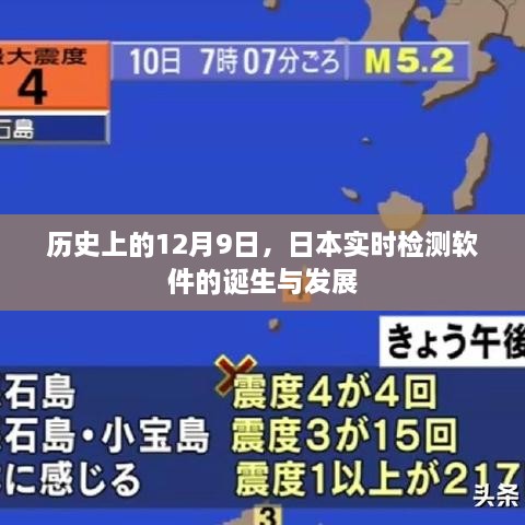 2024年12月10日 第12页