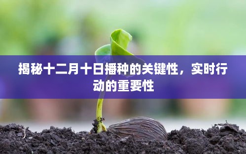 揭秘十二月十日播种的关键性与实时行动的重要性