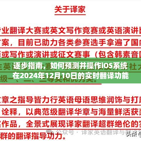 如何预测并操作iOS系统实时翻译功能，初学者与进阶用户指南（2024年12月10日）