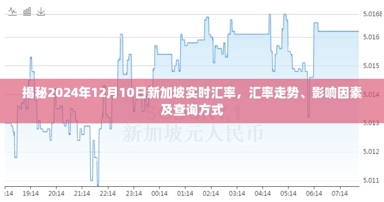 独家揭秘，新加坡实时汇率走势及查询指南（2024年12月10日）