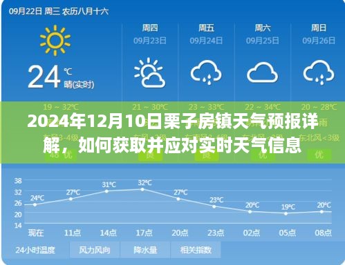 栗子房镇天气预报详解，获取与应对实时天气信息的指南（2024年12月10日）