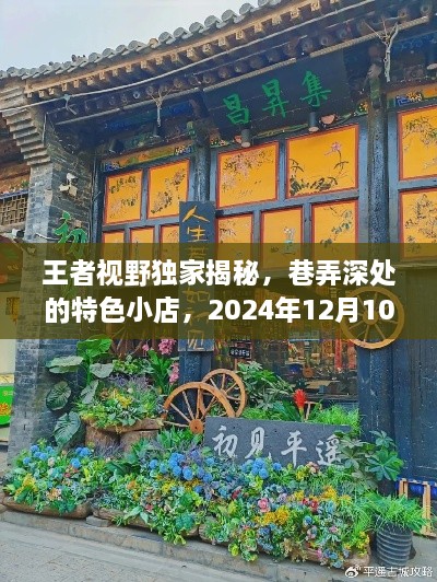 独家揭秘，巷弄深处的特色小店探索之旅（2024年12月10日启程）