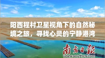 阳西程村卫星视角下的心灵秘境之旅