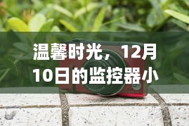 温馨时光，监控器小插曲中的爱的连结故事（12月10日）