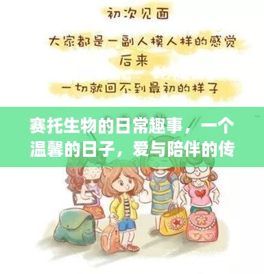 赛托生物的日常趣事，爱与陪伴的温馨传递日