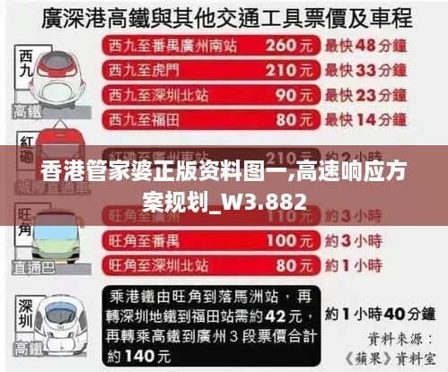 2024年12月11日 第123页