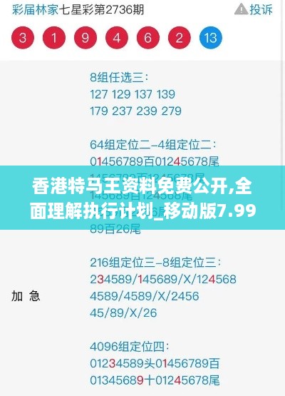 香港特马王资料免费公开,全面理解执行计划_移动版7.992