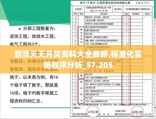 新澳天天开奖资料大全最新,标准化实施程序分析_S7.205