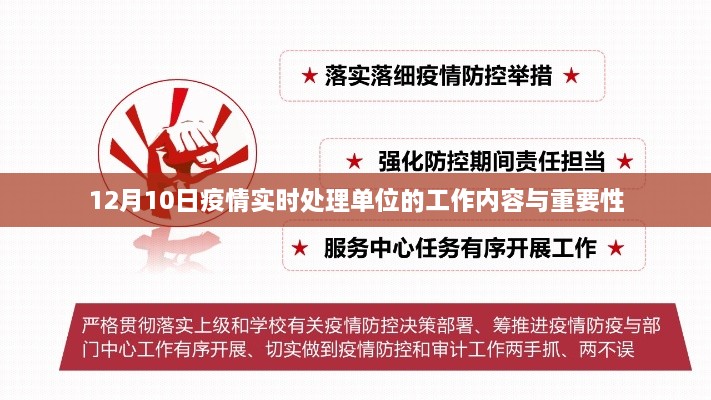 12月10日疫情实时处理单位的核心工作与重要性解析