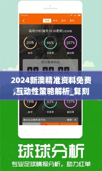 2024新澳精准资料免费,互动性策略解析_复刻款10.710