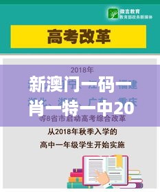 新澳门一码一肖一特一中2024高考,实地策略评估数据_2D3.167