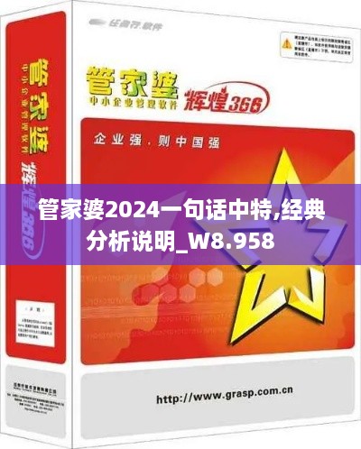 管家婆2024一句话中特,经典分析说明_W8.958