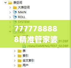 7777788888精准管家婆,数据引导策略解析_特供款4.958